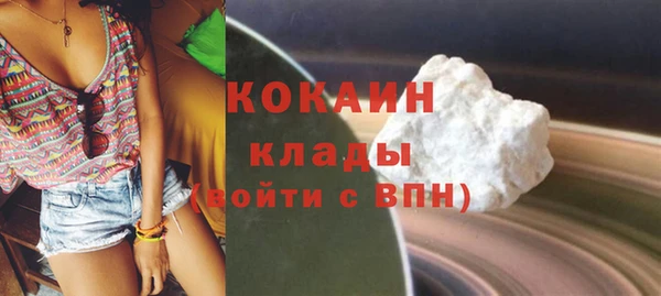хмурый Магас