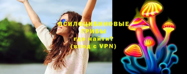 мяу мяу мука Майский